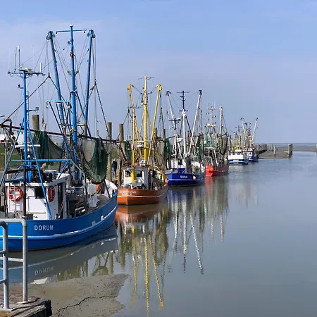 Nordseeglueck 16 Mit Grossem Balkon Und Sauna شقة *